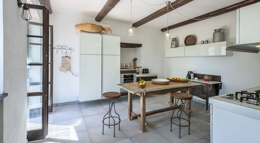 Photo of Animal Kingdom