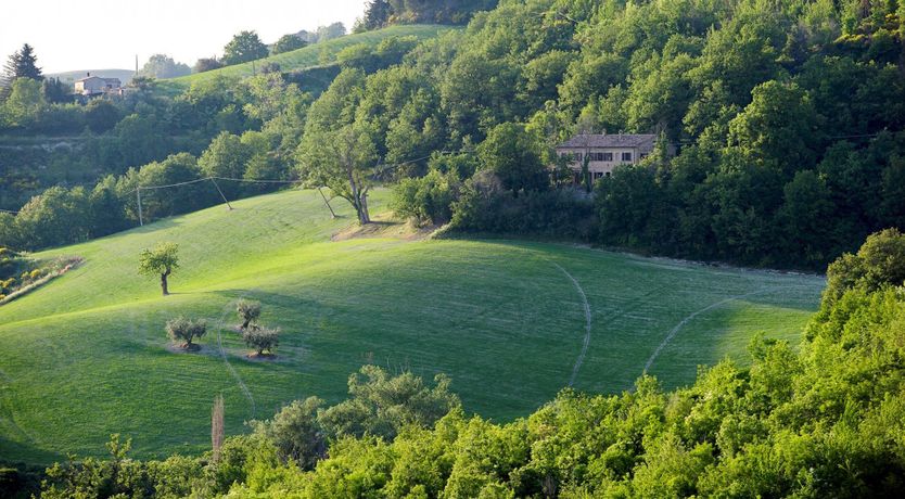 Photo of Animal Kingdom