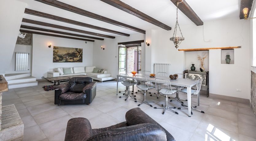 Photo of Animal Kingdom