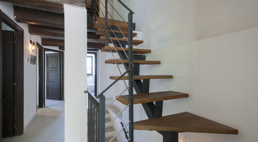 Photo of Animal Kingdom