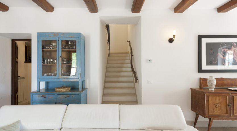 Photo of Animal Kingdom