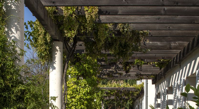 Photo of Keeping Up With the Joneses