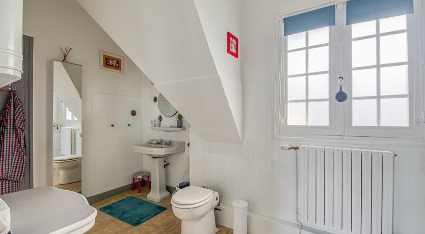 Photo of King of the Coast