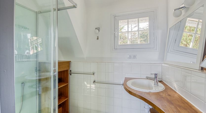 Photo of King of the Coast