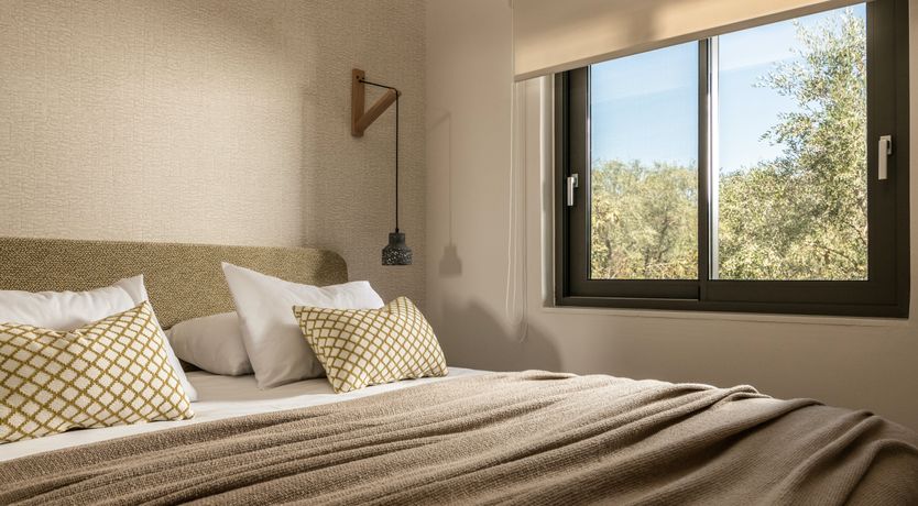 Photo of In The Olive Grove