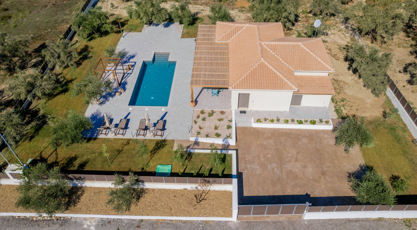 Photo of In The Olive Grove