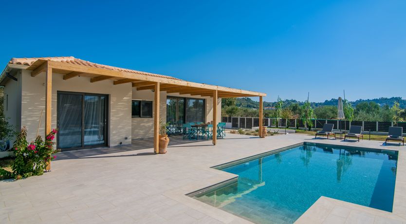 Photo of In The Olive Grove