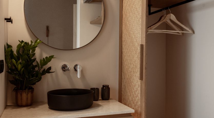 Photo of In The Olive Grove