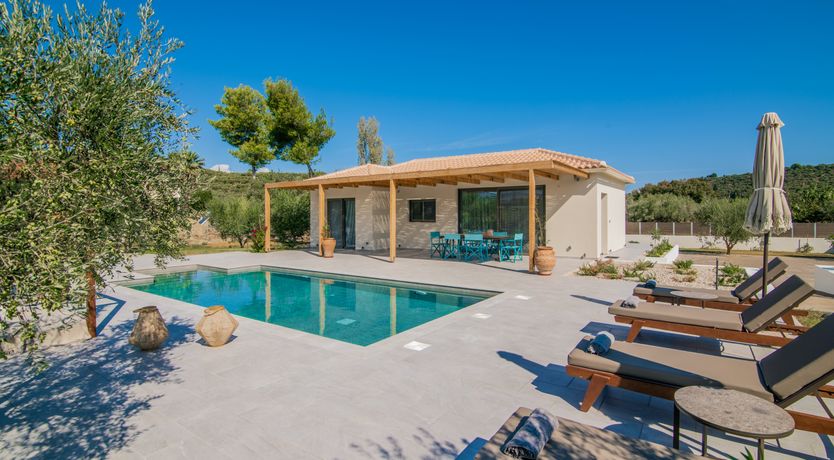 Photo of In The Olive Grove