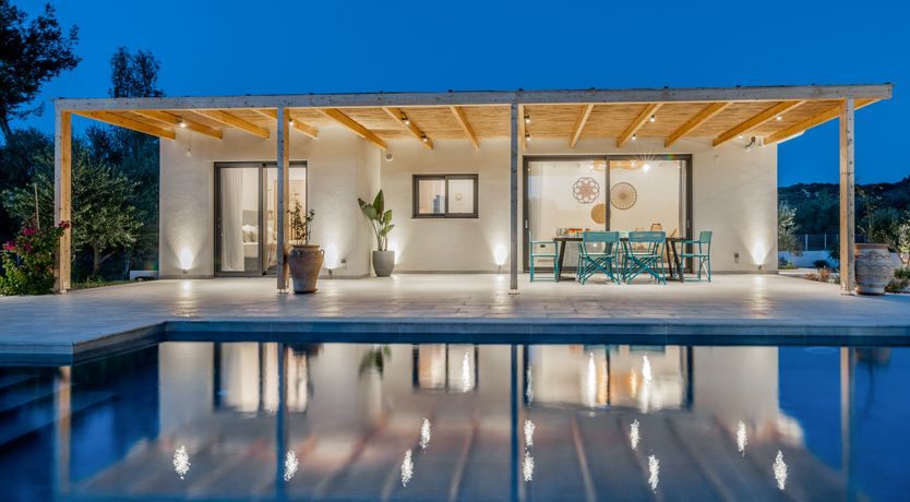 Photo of In The Olive Grove