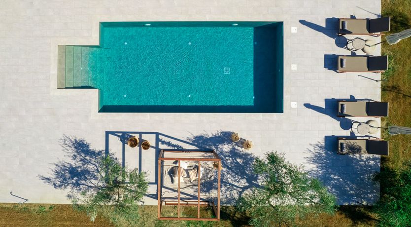 Photo of In The Olive Grove