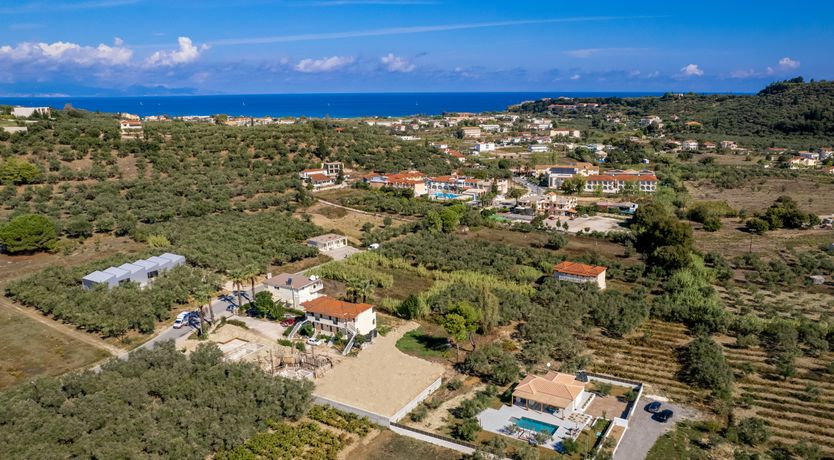 Photo of In The Olive Grove