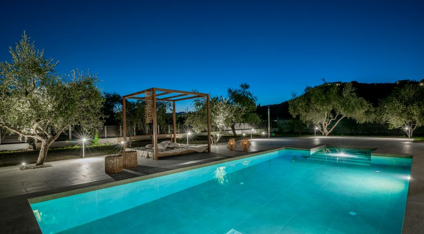 Photo of In The Olive Grove