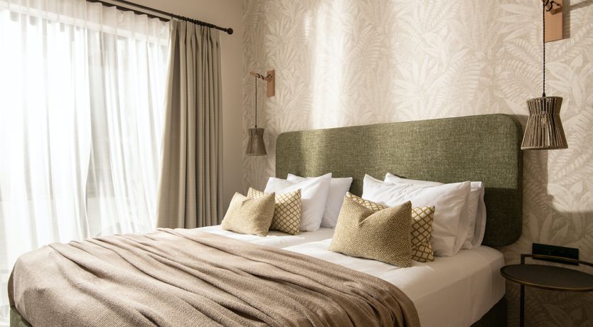 Photo of In The Olive Grove