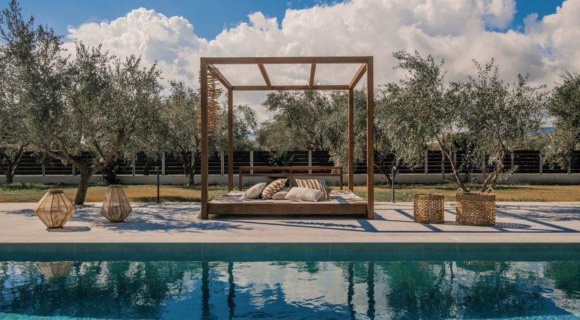 Photo of In The Olive Grove