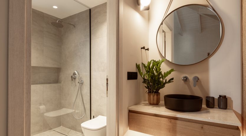 Photo of In The Olive Grove