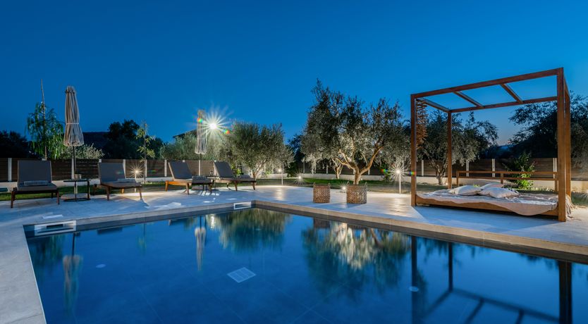 Photo of In The Olive Grove