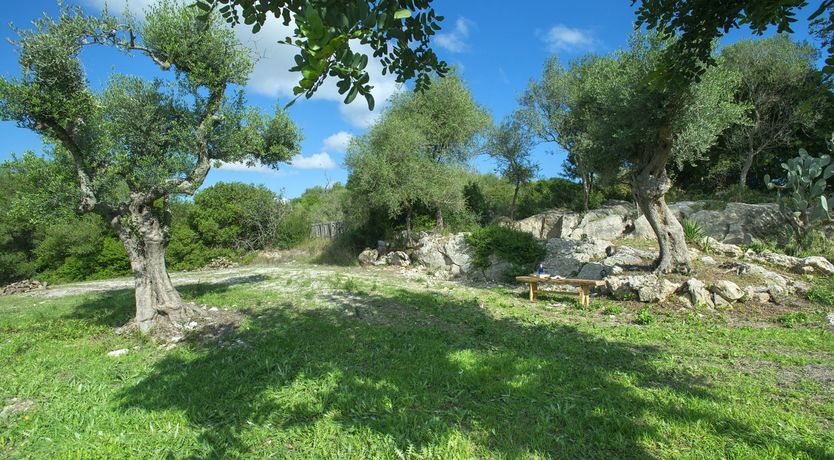 Photo of Rethink a Finca