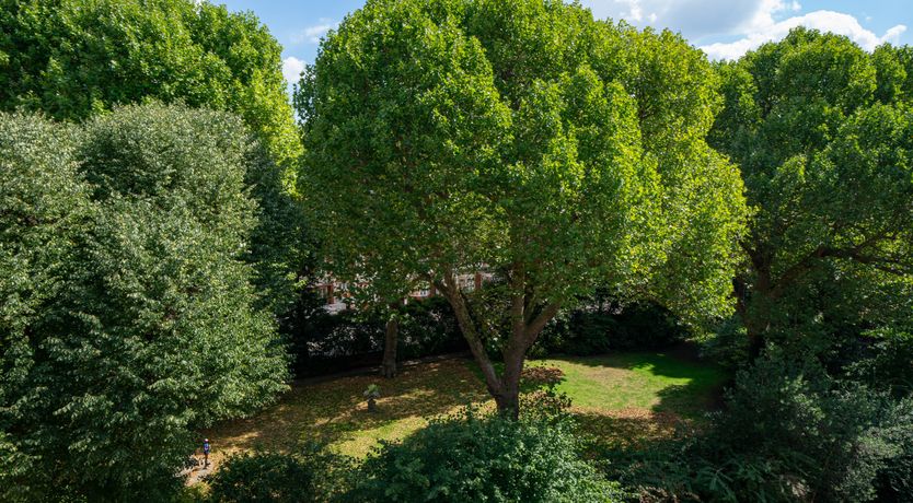 Photo of Elegance & Eucalyptus