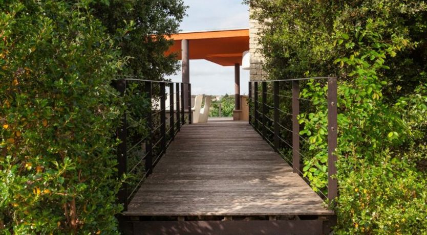 Photo of Tinged With Tangerine