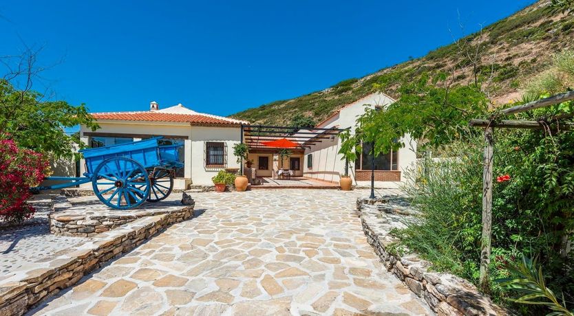 Photo of On Hibiscus Hilltop