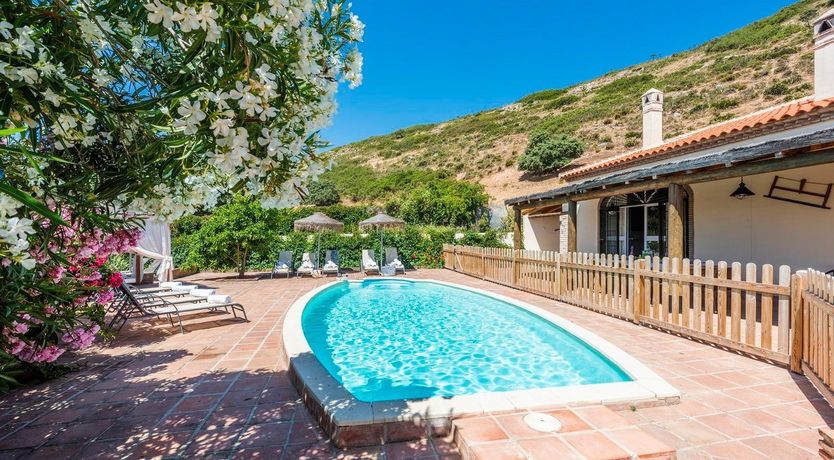 Photo of On Hibiscus Hilltop