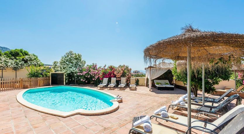 Photo of On Hibiscus Hilltop