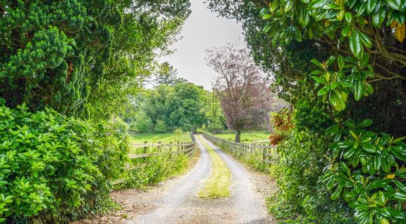 Photo of Touched by Legend