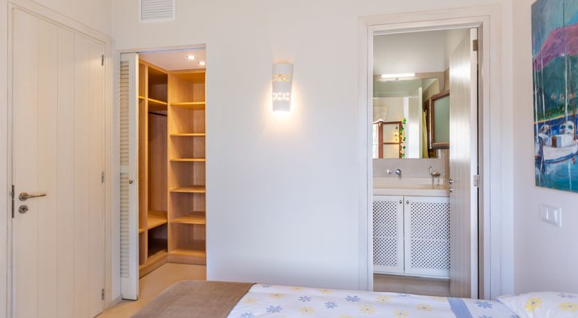 Photo of Bougainvillea Bolero