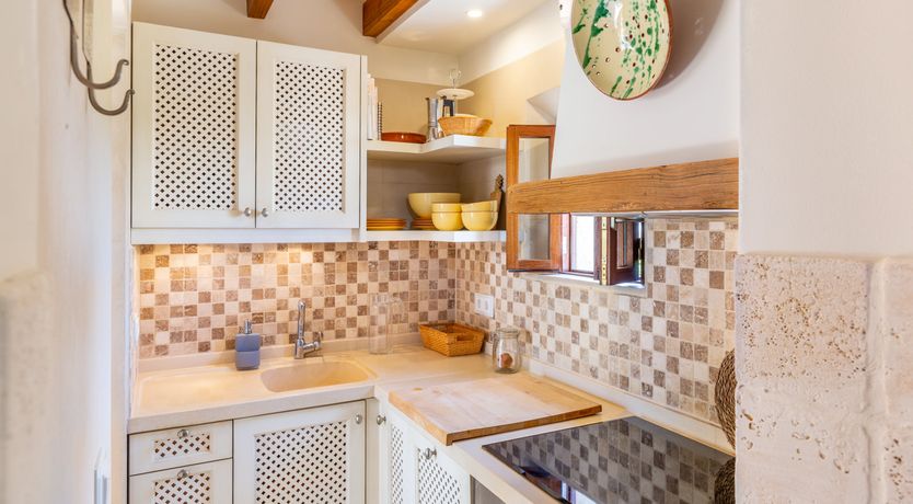 Photo of Bougainvillea Bolero