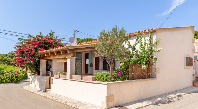 Photo of Bougainvillea Bolero