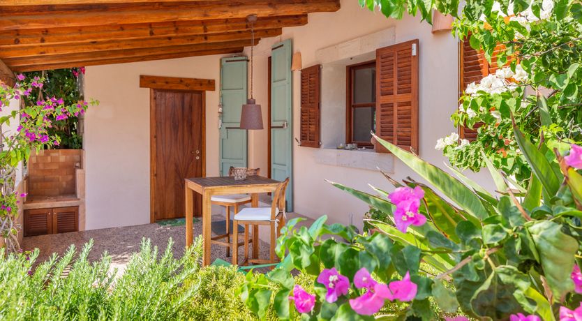 Photo of Bougainvillea Bolero