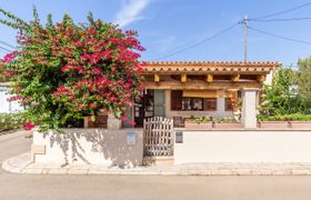 Photo of bougainvillea-bolero