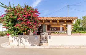 Photo of bougainvillea-bolero