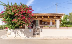 Photo of Bougainvillea Bolero