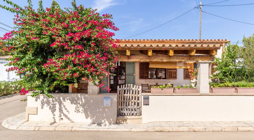 Photo of Bougainvillea Bolero