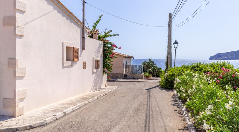 Photo of Bougainvillea Bolero