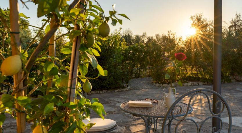 Photo of Tales of Sunsets