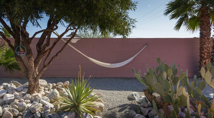 Photo of Desert Dreamer