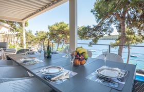 Photo of palms-pines-pools