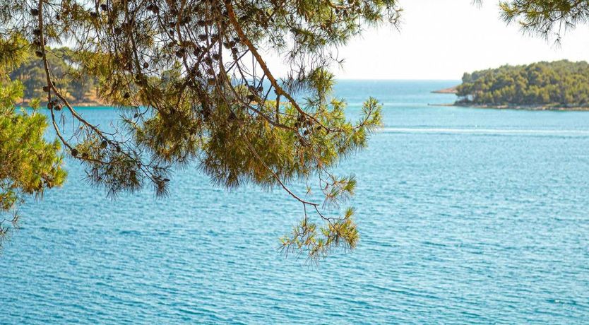Photo of Palms, Pines & Pools