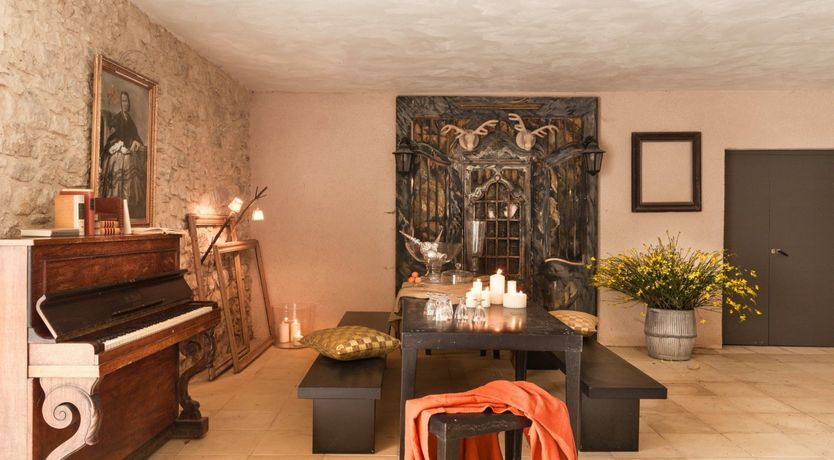 Photo of Entangled Vines