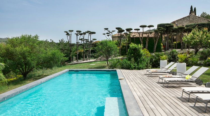 Photo of Entangled Vines