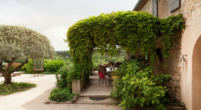 Photo of Entangled Vines