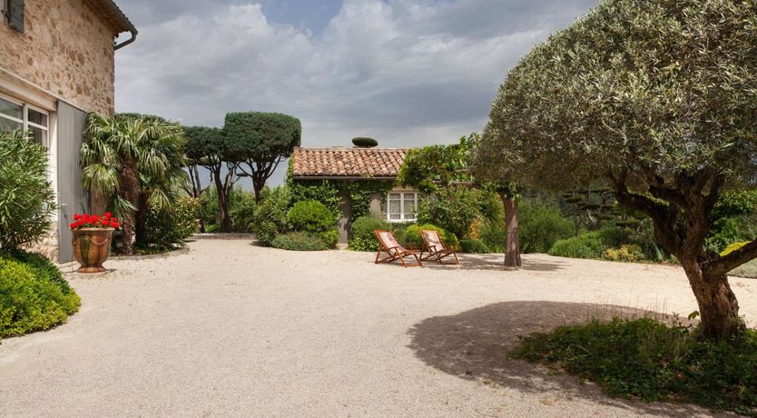 Photo of Entangled Vines