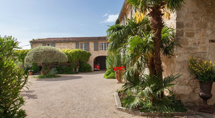 Photo of Entangled Vines