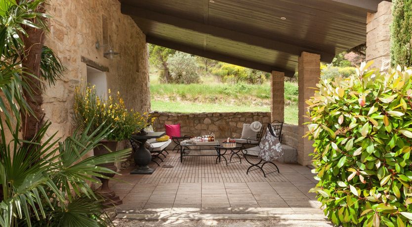 Photo of Entangled Vines