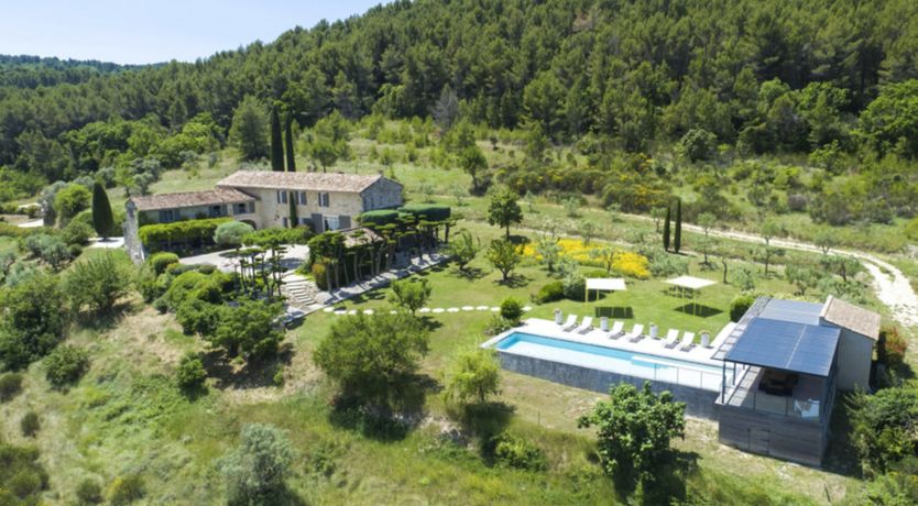 Photo of Entangled Vines