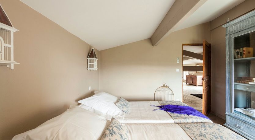 Photo of Entangled Vines