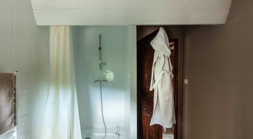 Photo of Entangled Vines